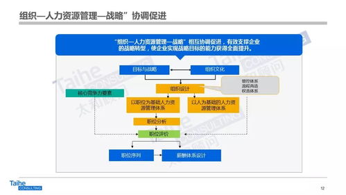 構(gòu)建以網(wǎng)絡(luò)技術(shù)開(kāi)發(fā)為驅(qū)動(dòng)的人力資源管理體系，助力企業(yè)實(shí)現(xiàn)跨越式發(fā)展